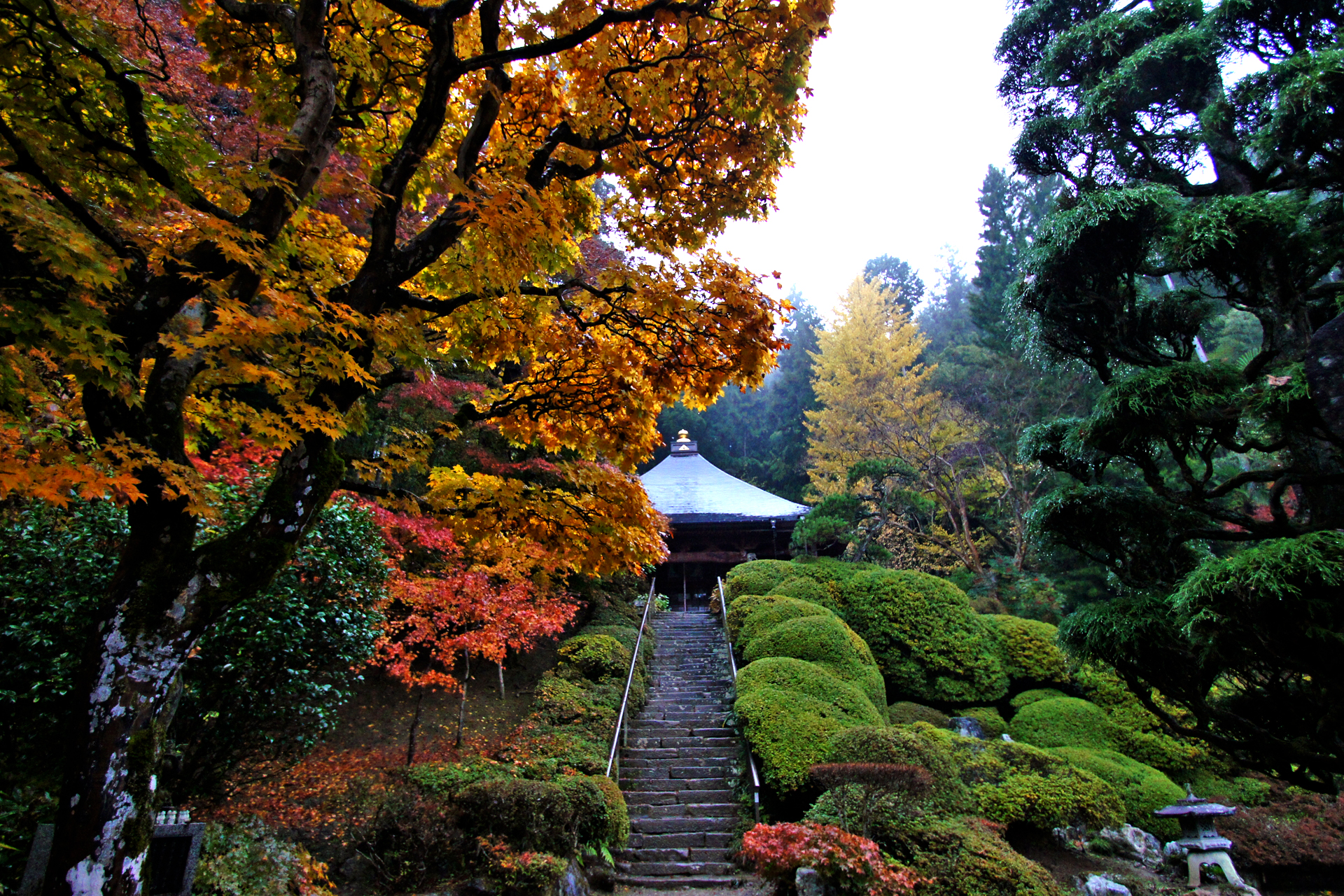 法雲寺