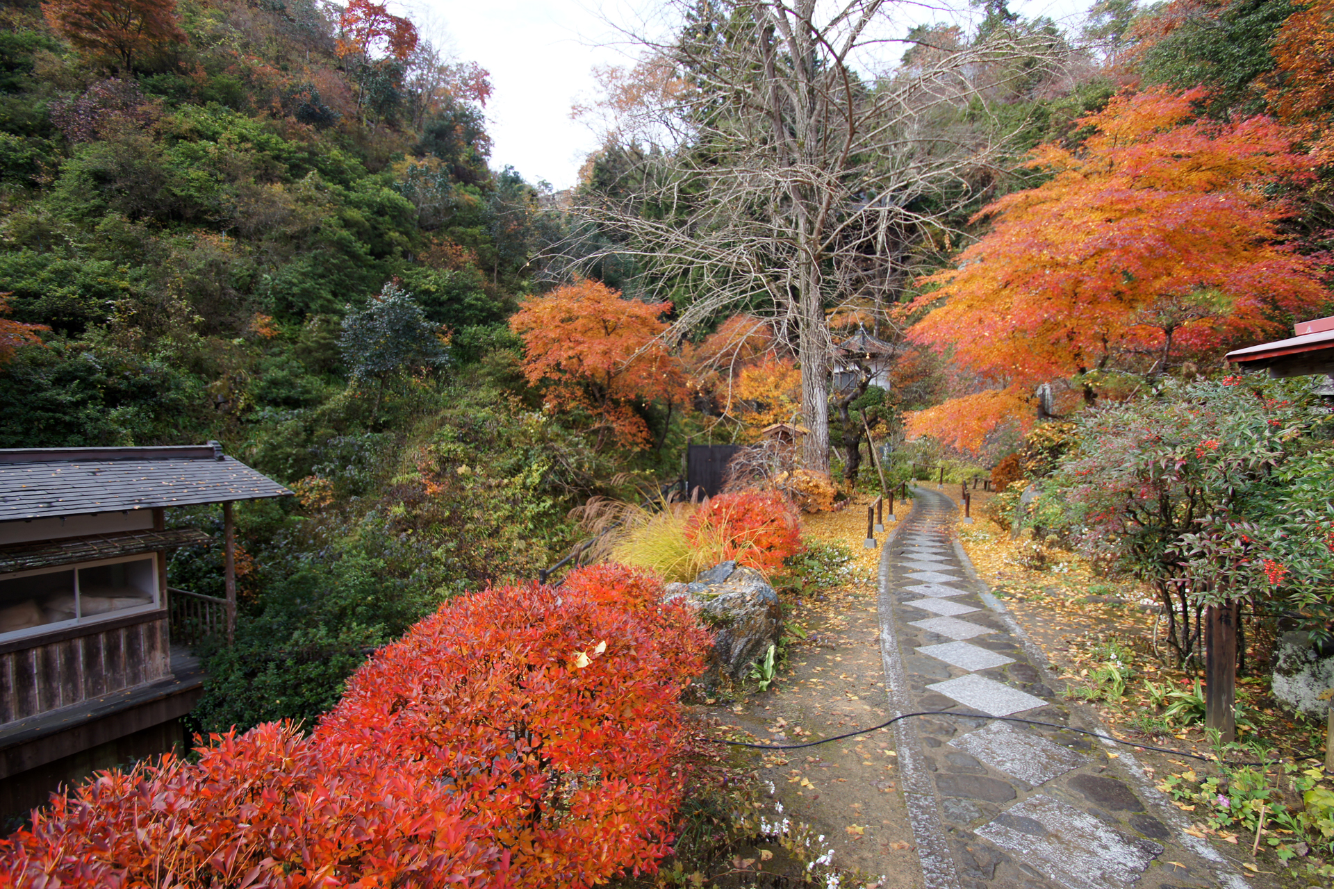 法性寺