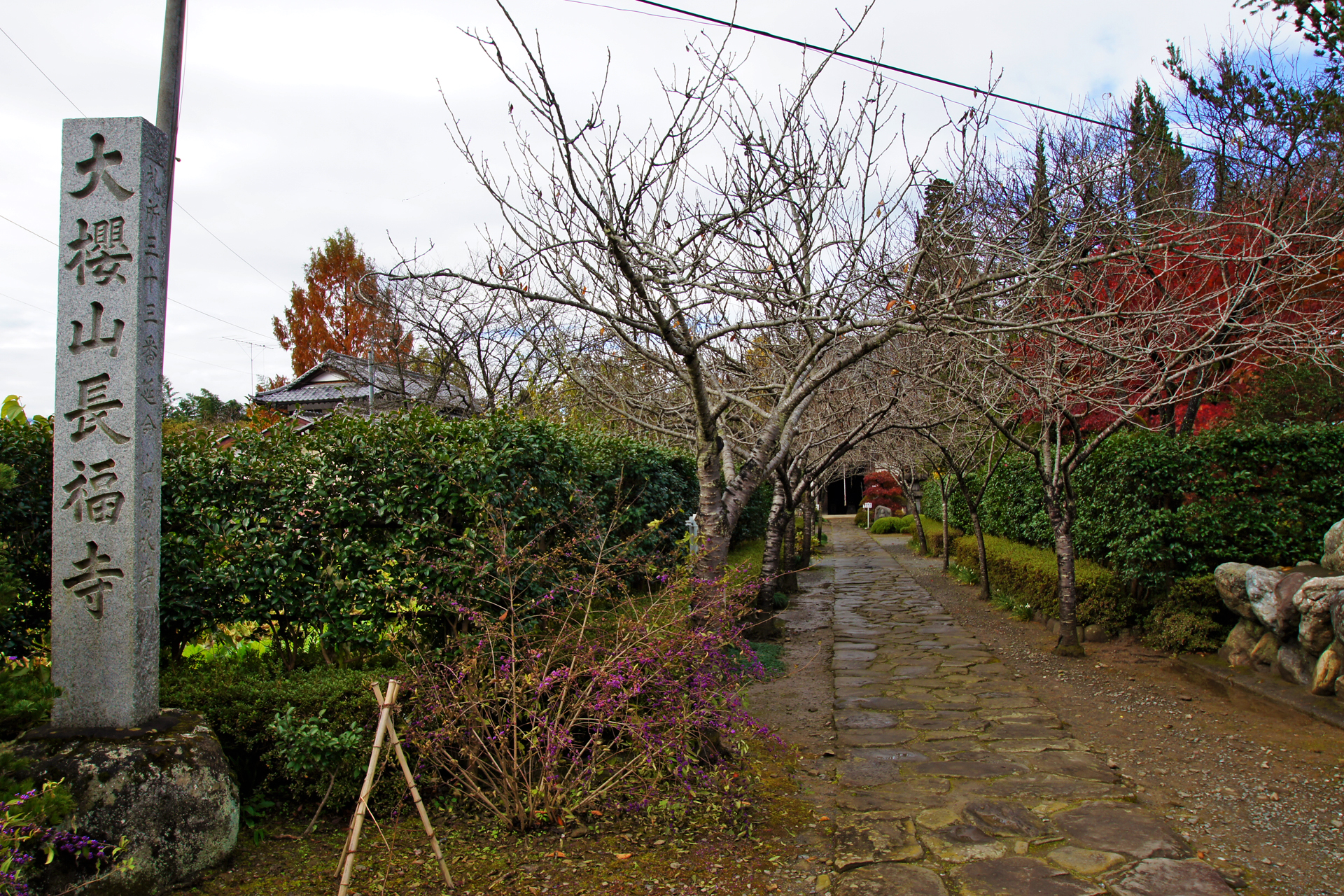 菊水寺