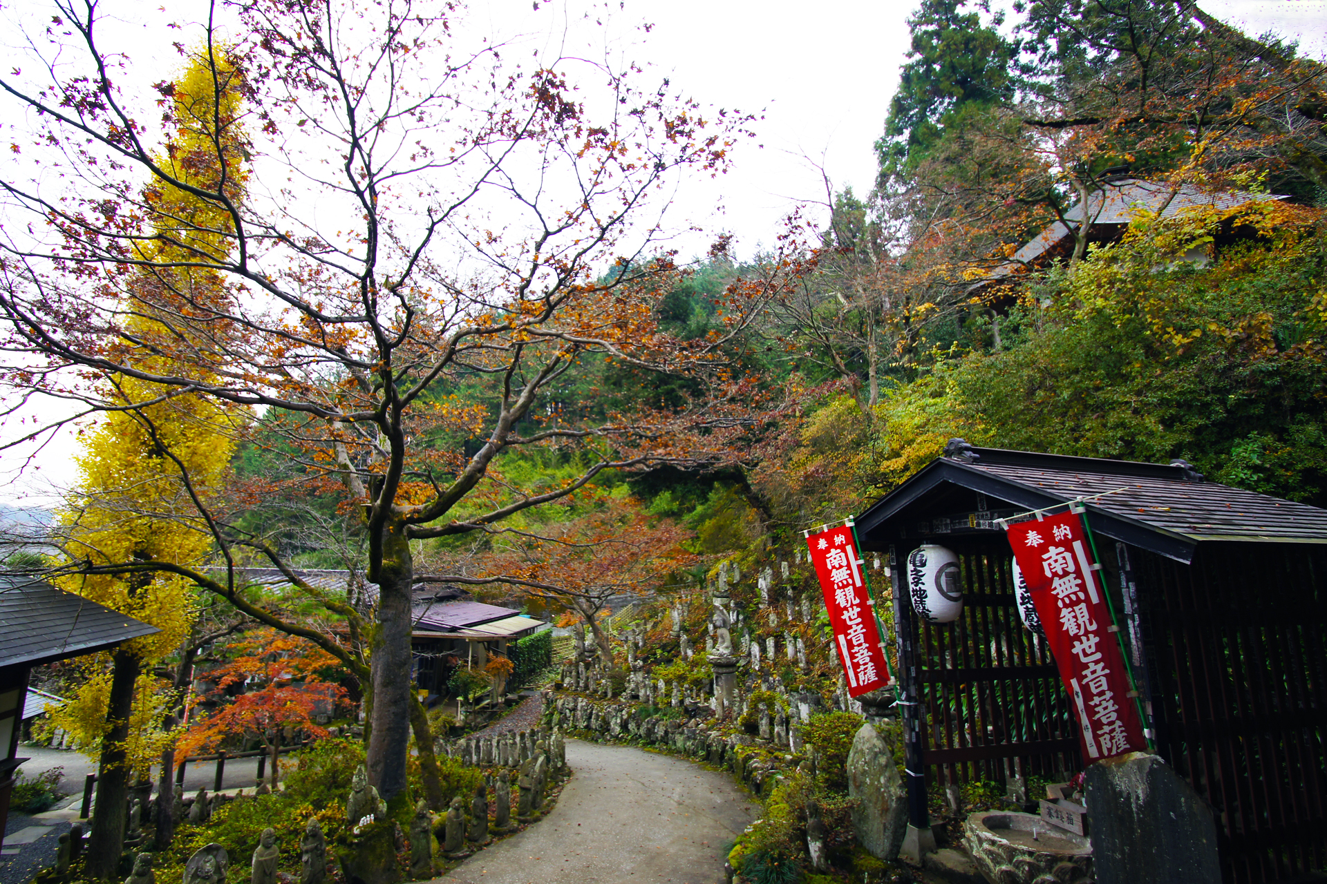 金昌寺