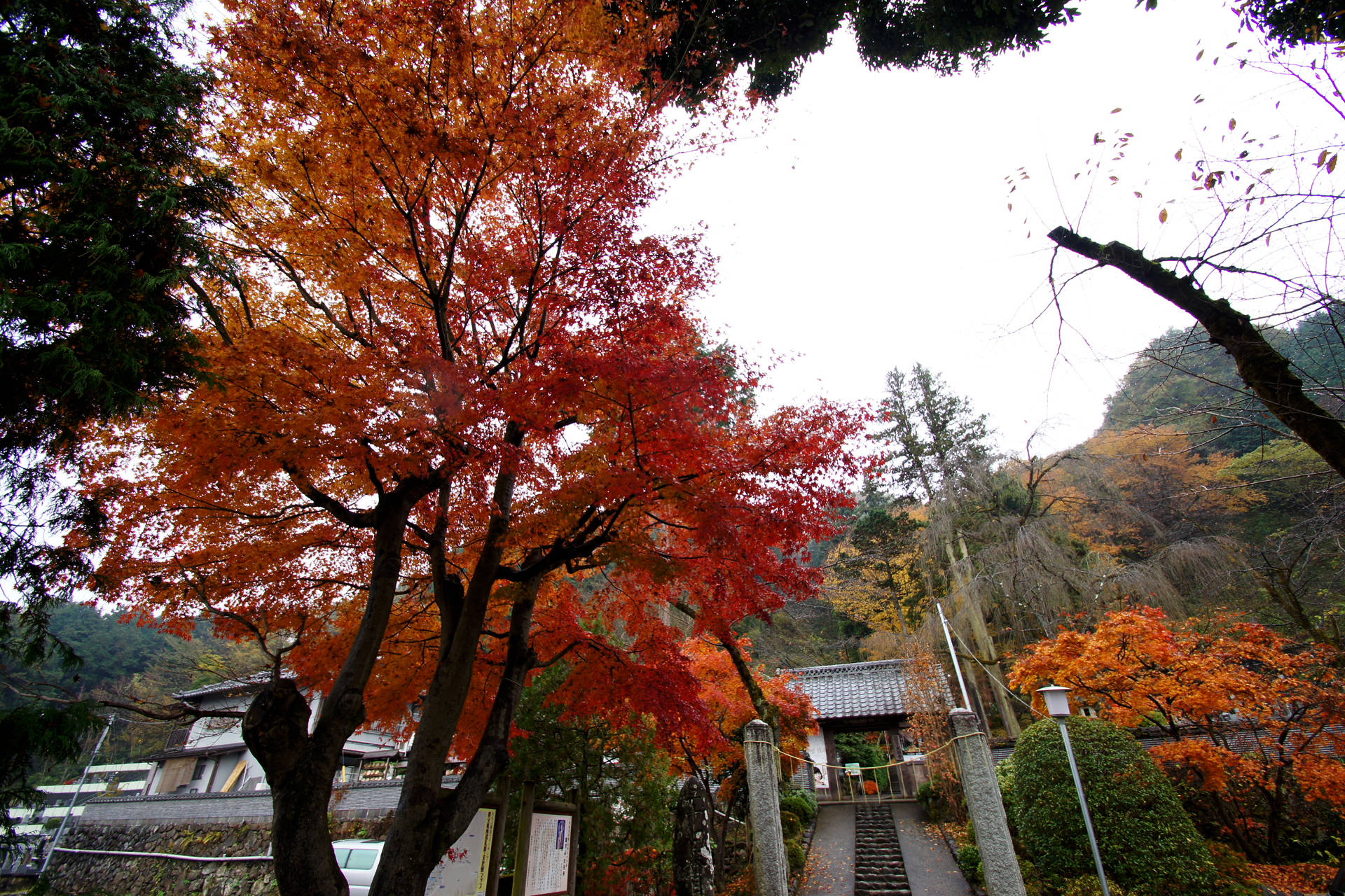 大渕寺