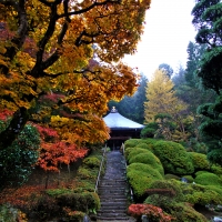 法雲寺