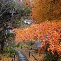 法性寺