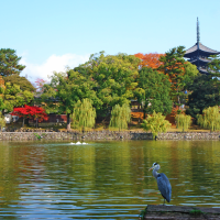 興福寺 南円堂