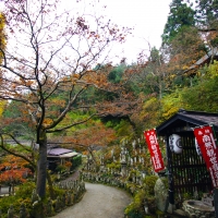 金昌寺
