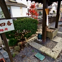 今宮坊